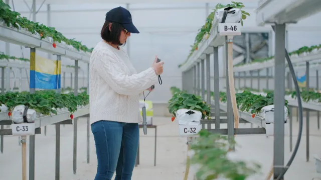 Berry Hill Kurucusu Filiz İlter ile Serada Bir Gün