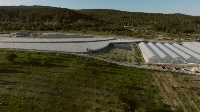 Berry Hill’de Doğanın İzinde: Filiz İlter ile Dış Arazi Turu