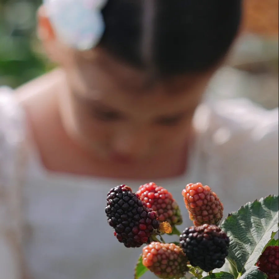 Ahududu & Böğürtlen Toplama Etkinliği (6-10 Yaş) – 1 Saatlik Program