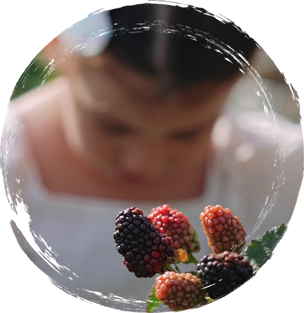 Ahududu & Böğürtlen Toplama Etkinliği (6-10 Yaş) – 1 Saatlik Program