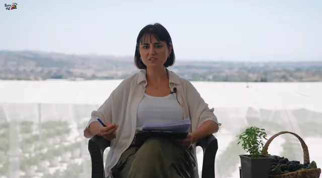 Topraksız Tarım Nedir, Kimler Yapabilir? Sık Sorulan Sorularla Topraksız Tarım